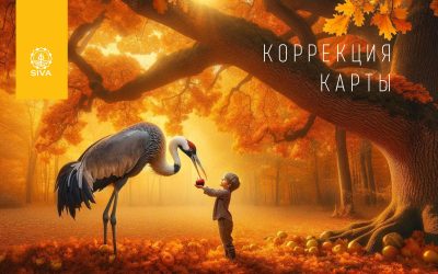 КОРРЕКЦИЯ КАРТЫ